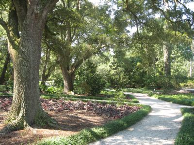 Camellia Garden